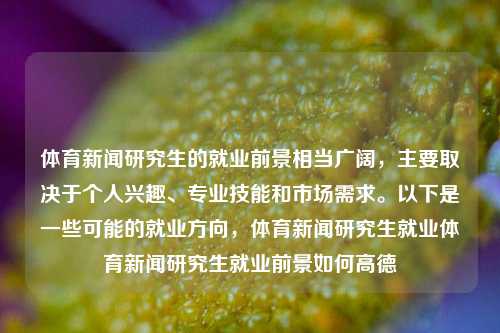 体育新闻研究生的就业前景相当广阔，主要取决于个人兴趣、专业技能和市场需求。以下是一些可能的就业方向，体育新闻研究生就业体育新闻研究生就业前景如何高德-第1张图片-体育新闻