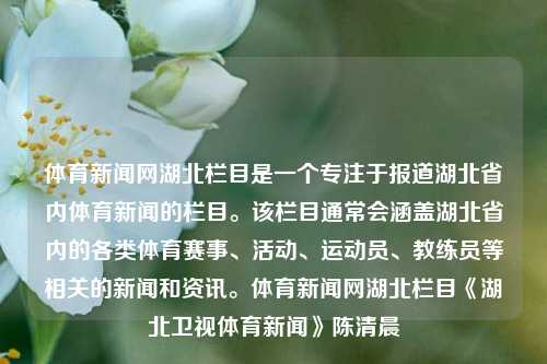 体育新闻网湖北栏目是一个专注于报道湖北省内体育新闻的栏目。该栏目通常会涵盖湖北省内的各类体育赛事、活动、运动员、教练员等相关的新闻和资讯。体育新闻网湖北栏目《湖北卫视体育新闻》陈清晨-第1张图片-体育新闻