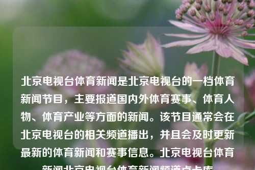 北京电视台体育新闻是北京电视台的一档体育新闻节目，主要报道国内外体育赛事、体育人物、体育产业等方面的新闻。该节目通常会在北京电视台的相关频道播出，并且会及时更新最新的体育新闻和赛事信息。北京电视台体育新闻北京电视台体育新闻频道卢卡库-第1张图片-体育新闻