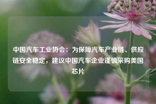 中国汽车工业协会：为保障汽车产业链、供应链安全稳定，建议中国汽车企业谨慎采购美国芯片-第1张图片-体育新闻