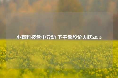 小赢科技盘中异动 下午盘股价大跌5.87%-第1张图片-体育新闻