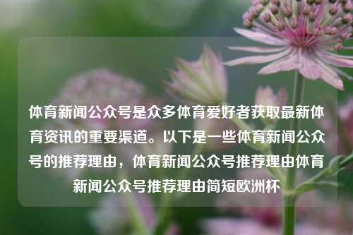 体育新闻公众号是众多体育爱好者获取最新体育资讯的重要渠道。以下是一些体育新闻公众号的推荐理由，体育新闻公众号推荐理由体育新闻公众号推荐理由简短欧洲杯-第1张图片-体育新闻