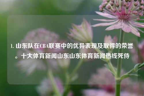 1. 山东队在CBA联赛中的优异表现及取得的荣誉。十大体育新闻山东山东体育新闻热线死侍-第1张图片-体育新闻