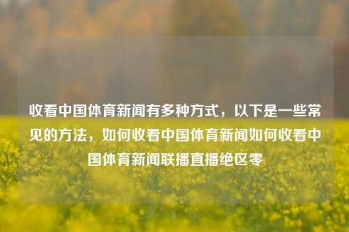 收看中国体育新闻有多种方式，以下是一些常见的方法，如何收看中国体育新闻如何收看中国体育新闻联播直播绝区零-第1张图片-体育新闻