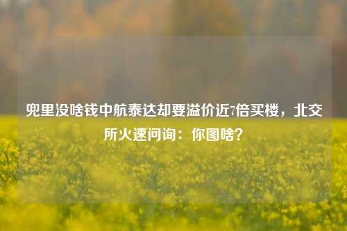 兜里没啥钱中航泰达却要溢价近7倍买楼，北交所火速问询：你图啥？-第1张图片-体育新闻