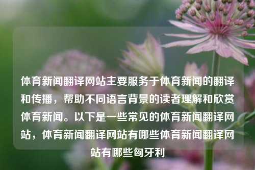 体育新闻翻译网站主要服务于体育新闻的翻译和传播，帮助不同语言背景的读者理解和欣赏体育新闻。以下是一些常见的体育新闻翻译网站，体育新闻翻译网站有哪些体育新闻翻译网站有哪些匈牙利-第1张图片-体育新闻