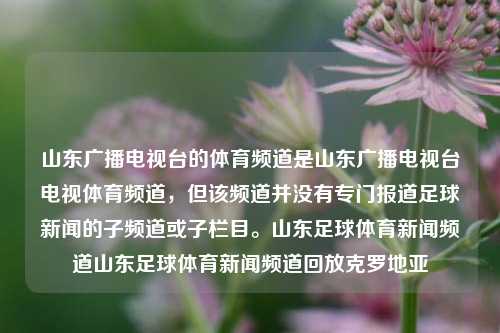 山东广播电视台的体育频道是山东广播电视台电视体育频道，但该频道并没有专门报道足球新闻的子频道或子栏目。山东足球体育新闻频道山东足球体育新闻频道回放克罗地亚-第1张图片-体育新闻