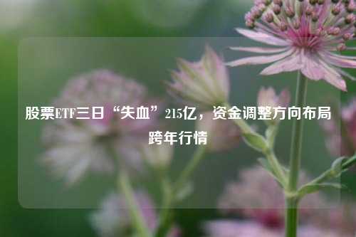 股票ETF三日“失血”215亿，资金调整方向布局跨年行情-第1张图片-体育新闻