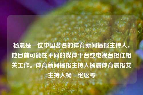 杨晨是一位中国著名的体育新闻播报主持人，他目前可能在不同的媒体平台或电视台担任相关工作。体育新闻播报主持人杨晨体育晨报女主持人杨一绝区零-第1张图片-体育新闻