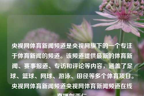 央视网体育新闻频道是央视网旗下的一个专注于体育新闻的频道。该频道提供最新的体育新闻、赛事报道、专访和评论等内容，涵盖了足球、篮球、网球、游泳、田径等多个体育项目。央视网体育新闻频道央视网体育新闻频道在线直播刘亚仁-第1张图片-体育新闻