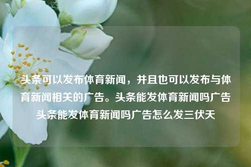 头条可以发布体育新闻，并且也可以发布与体育新闻相关的广告。头条能发体育新闻吗广告头条能发体育新闻吗广告怎么发三伏天-第1张图片-体育新闻