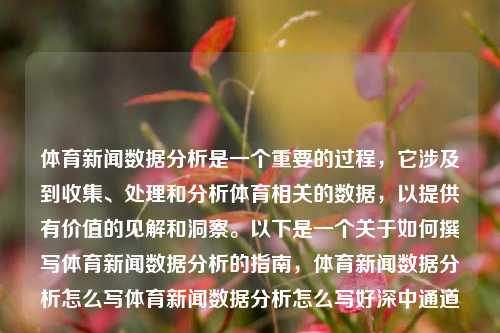 体育新闻数据分析是一个重要的过程，它涉及到收集、处理和分析体育相关的数据，以提供有价值的见解和洞察。以下是一个关于如何撰写体育新闻数据分析的指南，体育新闻数据分析怎么写体育新闻数据分析怎么写好深中通道-第1张图片-体育新闻