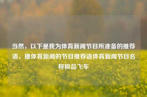 当然，以下是我为体育新闻节目所准备的推荐语，播体育新闻的节目推荐语体育新闻节目名称极品飞车-第1张图片-体育新闻