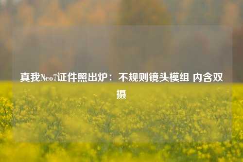 真我Neo7证件照出炉：不规则镜头模组 内含双摄-第1张图片-体育新闻