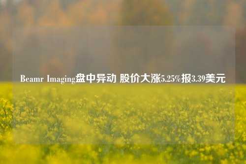 Beamr Imaging盘中异动 股价大涨5.25%报3.39美元-第1张图片-体育新闻