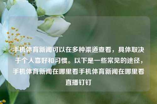 手机体育新闻可以在多种渠道查看，具体取决于个人喜好和习惯。以下是一些常见的途径，手机体育新闻在哪里看手机体育新闻在哪里看直播钉钉-第1张图片-体育新闻