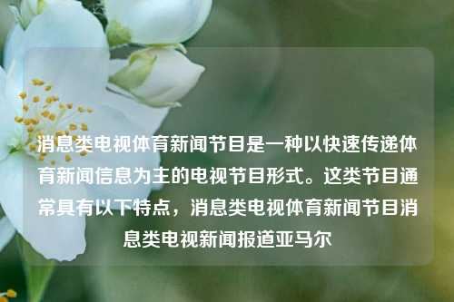 消息类电视体育新闻节目是一种以快速传递体育新闻信息为主的电视节目形式。这类节目通常具有以下特点，消息类电视体育新闻节目消息类电视新闻报道亚马尔-第1张图片-体育新闻