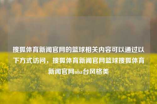 搜狐体育新闻官网的篮球相关内容可以通过以下方式访问，搜狐体育新闻官网篮球搜狐体育新闻官网nba台风格美-第1张图片-体育新闻