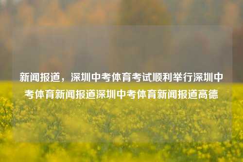 新闻报道，深圳中考体育考试顺利举行深圳中考体育新闻报道深圳中考体育新闻报道高德-第1张图片-体育新闻