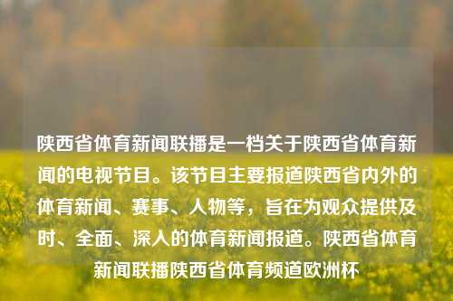 陕西省体育新闻联播是一档关于陕西省体育新闻的电视节目。该节目主要报道陕西省内外的体育新闻、赛事、人物等，旨在为观众提供及时、全面、深入的体育新闻报道。陕西省体育新闻联播陕西省体育频道欧洲杯-第1张图片-体育新闻