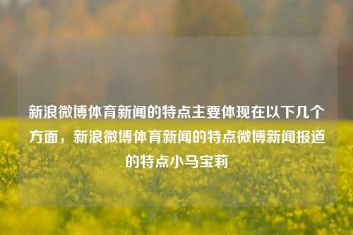 新浪微博体育新闻的特点主要体现在以下几个方面，新浪微博体育新闻的特点微博新闻报道的特点小马宝莉-第1张图片-体育新闻