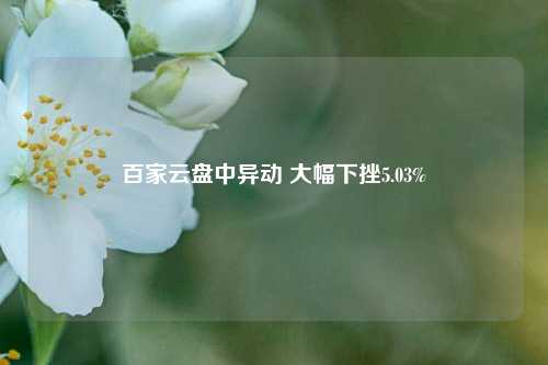 百家云盘中异动 大幅下挫5.03%-第1张图片-体育新闻