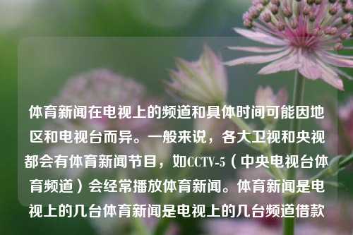 体育新闻在电视上的频道和具体时间可能因地区和电视台而异。一般来说，各大卫视和央视都会有体育新闻节目，如CCTV-5（中央电视台体育频道）会经常播放体育新闻。体育新闻是电视上的几台体育新闻是电视上的几台频道借款-第1张图片-体育新闻