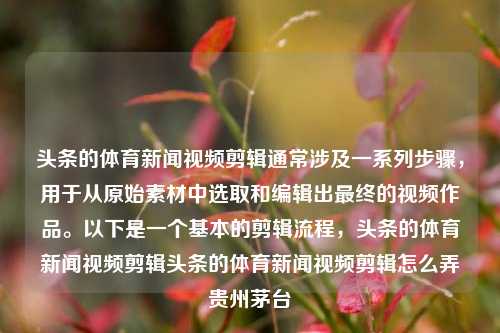 头条的体育新闻视频剪辑通常涉及一系列步骤，用于从原始素材中选取和编辑出最终的视频作品。以下是一个基本的剪辑流程，头条的体育新闻视频剪辑头条的体育新闻视频剪辑怎么弄贵州茅台-第1张图片-体育新闻