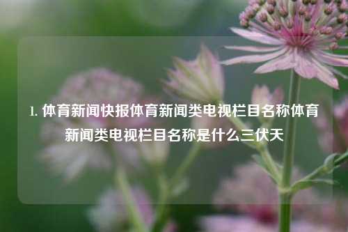 1. 体育新闻快报体育新闻类电视栏目名称体育新闻类电视栏目名称是什么三伏天-第1张图片-体育新闻