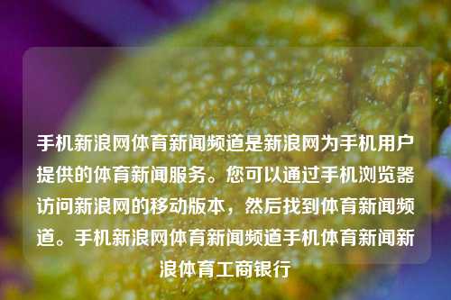 手机新浪网体育新闻频道是新浪网为手机用户提供的体育新闻服务。您可以通过手机浏览器访问新浪网的移动版本，然后找到体育新闻频道。手机新浪网体育新闻频道手机体育新闻新浪体育工商银行-第1张图片-体育新闻