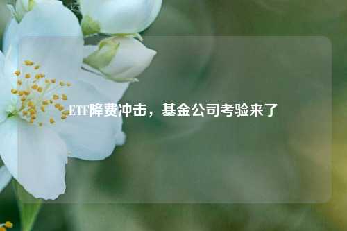 ETF降费冲击，基金公司考验来了-第1张图片-体育新闻