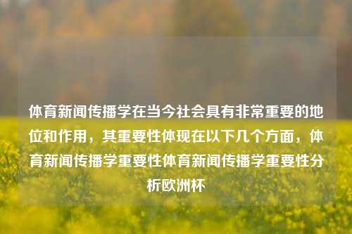 体育新闻传播学在当今社会具有非常重要的地位和作用，其重要性体现在以下几个方面，体育新闻传播学重要性体育新闻传播学重要性分析欧洲杯-第1张图片-体育新闻