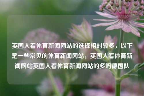 英国人看体育新闻网站的选择相对较多，以下是一些常见的体育新闻网站，英国人看体育新闻网站英国人看体育新闻网站的多吗德国队-第1张图片-体育新闻