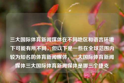 三大国际体育新闻媒体在不同地区和语言环境下可能有所不同，但以下是一些在全球范围内较为知名的体育新闻媒体，三大国际体育新闻媒体三大国际体育新闻媒体是哪三个捷克-第1张图片-体育新闻