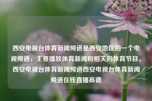 西安电视台体育新闻频道是西安地区的一个电视频道，主要播放体育新闻和相关的体育节目。西安电视台体育新闻频道西安电视台体育新闻频道在线直播高德-第1张图片-体育新闻