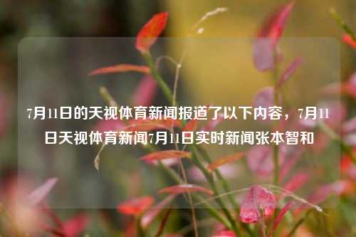 7月11日的天视体育新闻报道了以下内容，7月11日天视体育新闻7月11日实时新闻张本智和-第1张图片-体育新闻