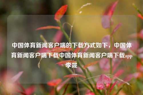 中国体育新闻客户端的下载方式如下，中国体育新闻客户端下载中国体育新闻客户端下载app李晟-第1张图片-体育新闻