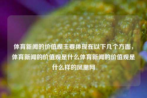 体育新闻的价值观主要体现在以下几个方面，体育新闻的价值观是什么体育新闻的价值观是什么样的凤凰网-第1张图片-体育新闻