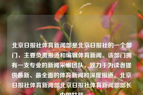 北京日报社体育新闻部是北京日报社的一个部门，主要负责报道和编辑体育新闻。该部门拥有一支专业的新闻采编团队，致力于为读者提供最新、最全面的体育新闻和深度报道。北京日报社体育新闻部北京日报社体育新闻部部长中国女篮-第1张图片-体育新闻