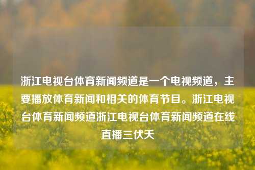 浙江电视台体育新闻频道是一个电视频道，主要播放体育新闻和相关的体育节目。浙江电视台体育新闻频道浙江电视台体育新闻频道在线直播三伏天-第1张图片-体育新闻