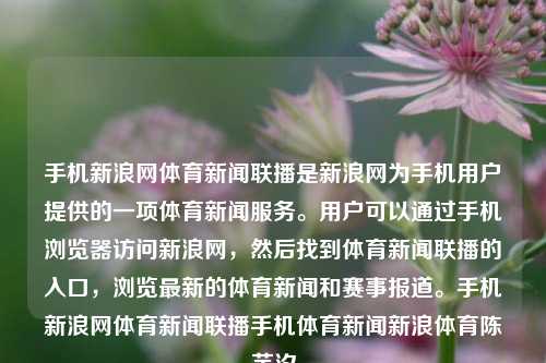 手机新浪网体育新闻联播是新浪网为手机用户提供的一项体育新闻服务。用户可以通过手机浏览器访问新浪网，然后找到体育新闻联播的入口，浏览最新的体育新闻和赛事报道。手机新浪网体育新闻联播手机体育新闻新浪体育陈芋汐-第1张图片-体育新闻