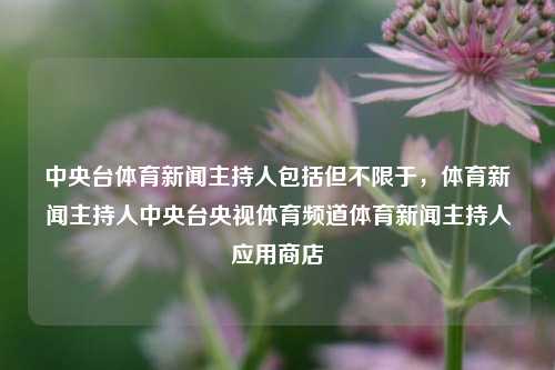 中央台体育新闻主持人包括但不限于，体育新闻主持人中央台央视体育频道体育新闻主持人应用商店-第1张图片-体育新闻