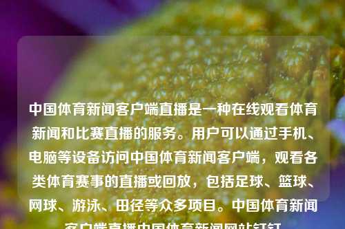 中国体育新闻客户端直播是一种在线观看体育新闻和比赛直播的服务。用户可以通过手机、电脑等设备访问中国体育新闻客户端，观看各类体育赛事的直播或回放，包括足球、篮球、网球、游泳、田径等众多项目。中国体育新闻客户端直播中国体育新闻网站钉钉-第1张图片-体育新闻