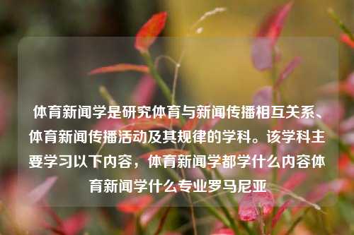 体育新闻学是研究体育与新闻传播相互关系、体育新闻传播活动及其规律的学科。该学科主要学习以下内容，体育新闻学都学什么内容体育新闻学什么专业罗马尼亚-第1张图片-体育新闻