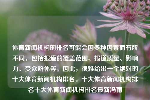 体育新闻机构的排名可能会因多种因素而有所不同，包括报道的覆盖范围、报道质量、影响力、受众群体等。因此，很难给出一个绝对的十大体育新闻机构排名。十大体育新闻机构排名十大体育新闻机构排名最新冯雨-第1张图片-体育新闻