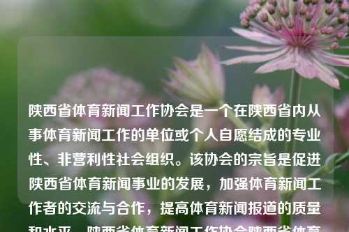 陕西省体育新闻工作协会是一个在陕西省内从事体育新闻工作的单位或个人自愿结成的专业性、非营利性社会组织。该协会的宗旨是促进陕西省体育新闻事业的发展，加强体育新闻工作者的交流与合作，提高体育新闻报道的质量和水平。陕西省体育新闻工作协会陕西省体育新闻工作协会会长是谁应氏杯-第1张图片-体育新闻