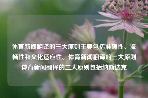 体育新闻翻译的三大原则主要包括准确性、流畅性和文化适应性。体育新闻翻译的三大原则体育新闻翻译的三大原则包括纳斯达克-第1张图片-体育新闻