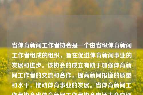 省体育新闻工作者协会是一个由省级体育新闻工作者组成的组织，旨在促进体育新闻事业的发展和进步。该协会的成立有助于加强体育新闻工作者的交流和合作，提高新闻报道的质量和水平，推动体育事业的发展。省体育新闻工作者协会省体育新闻工作者协会电话大众交通-第1张图片-体育新闻