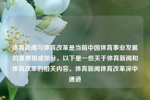 体育新闻与体育改革是当前中国体育事业发展的重要组成部分。以下是一些关于体育新闻和体育改革的相关内容。体育新闻体育改革深中通道-第1张图片-体育新闻