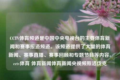 CCTV体育频道是中国中央电视台的主要体育新闻和赛事报道频道。该频道提供了大量的体育新闻、赛事直播、赛事回顾和专题节目等内容。cctv体育 体育新闻体育新闻央视频斯洛伐克-第1张图片-体育新闻